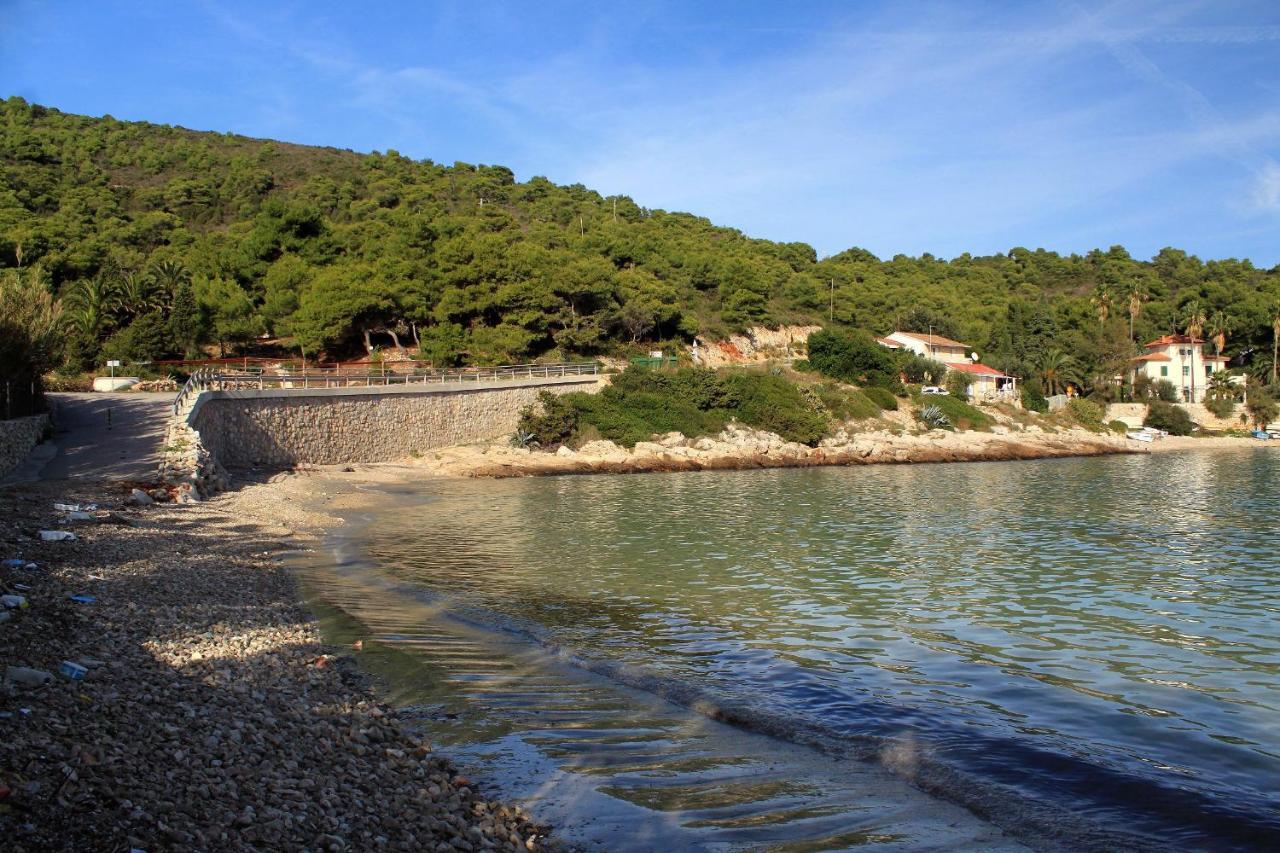Apartments By The Sea Milna, Vis - 8913 Esterno foto