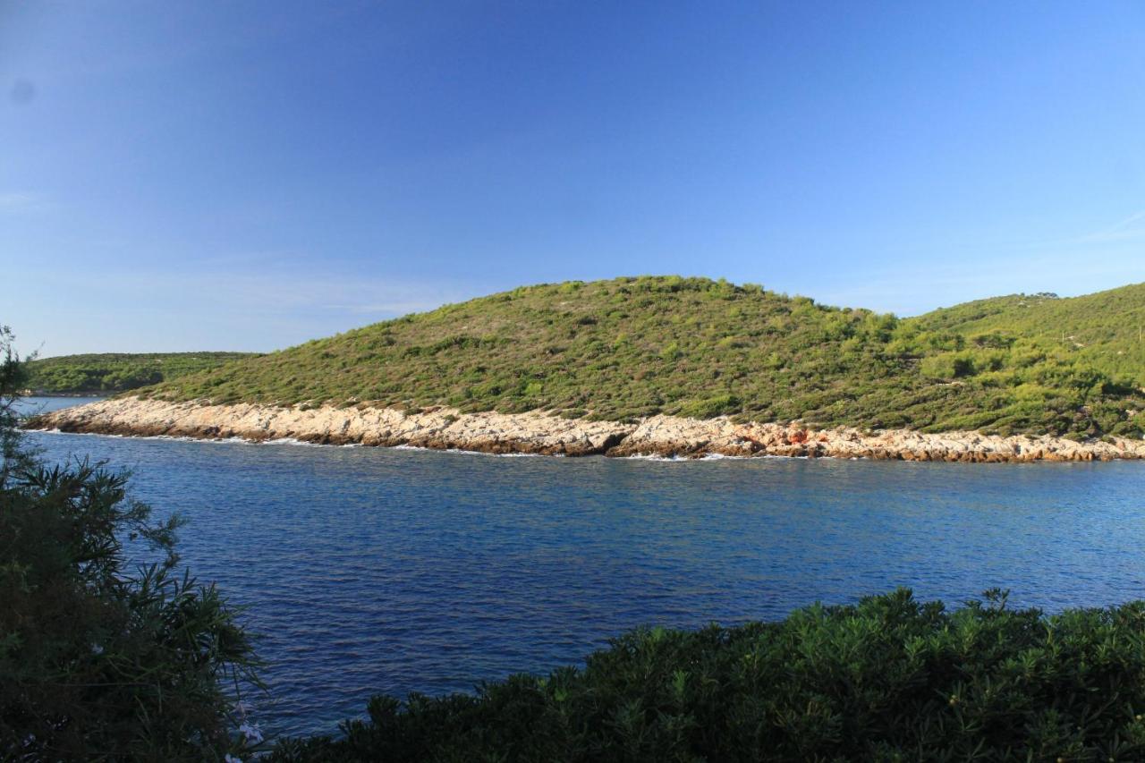 Apartments By The Sea Milna, Vis - 8913 Esterno foto